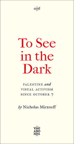 To See In the Dark Palestine and Visual Activism Since October 7