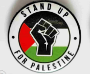 Stand Up For Palestine Pin