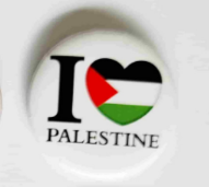 I Love Palestine Pin